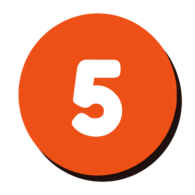 Passo 5: Execução